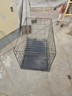 Animal Cage