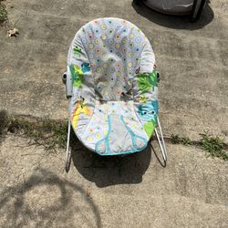 Baby Bouncer Seat 
