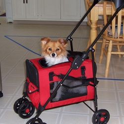 Dog carrier and stroller