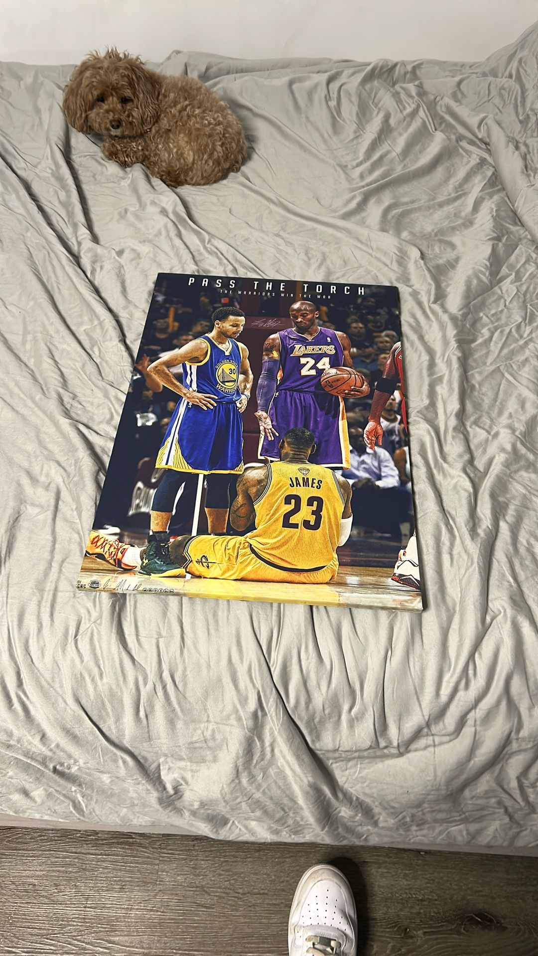 Steph Curry Kobe Bryant And LeBron Poster