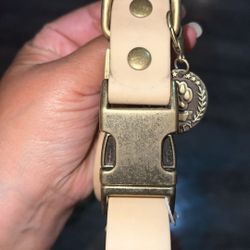 Wisedog Tan dog Collar 