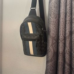 Limited Edition Coach Bag