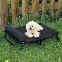 ABE Raised Dog BedOutdoor Elevated Dog Bed