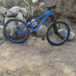 24” Giant STP