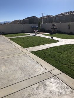 Grass