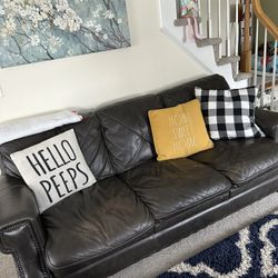 Leather Couches