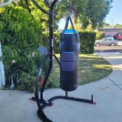 Everlast punching bag with pull up bar sale