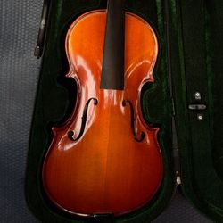 Violin