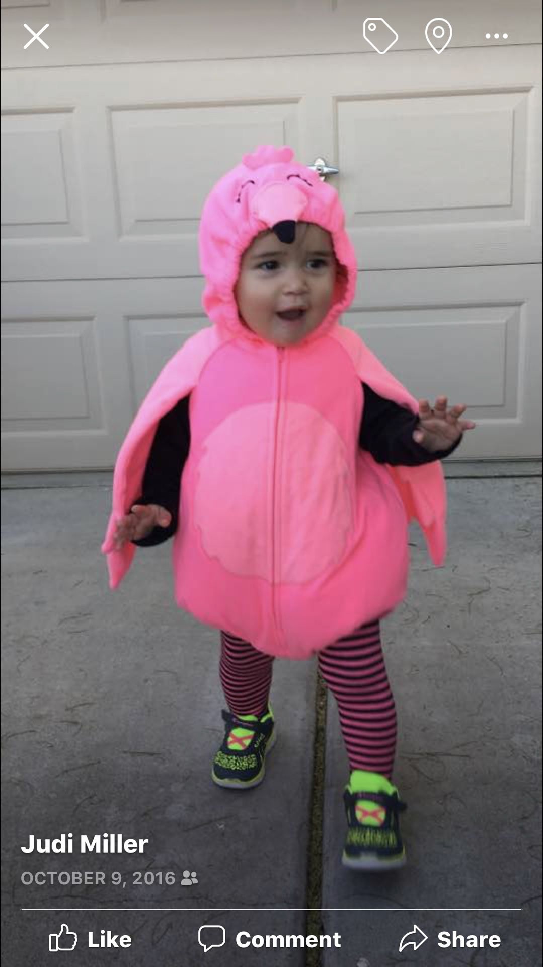 Pink flamingo costume size 18 months