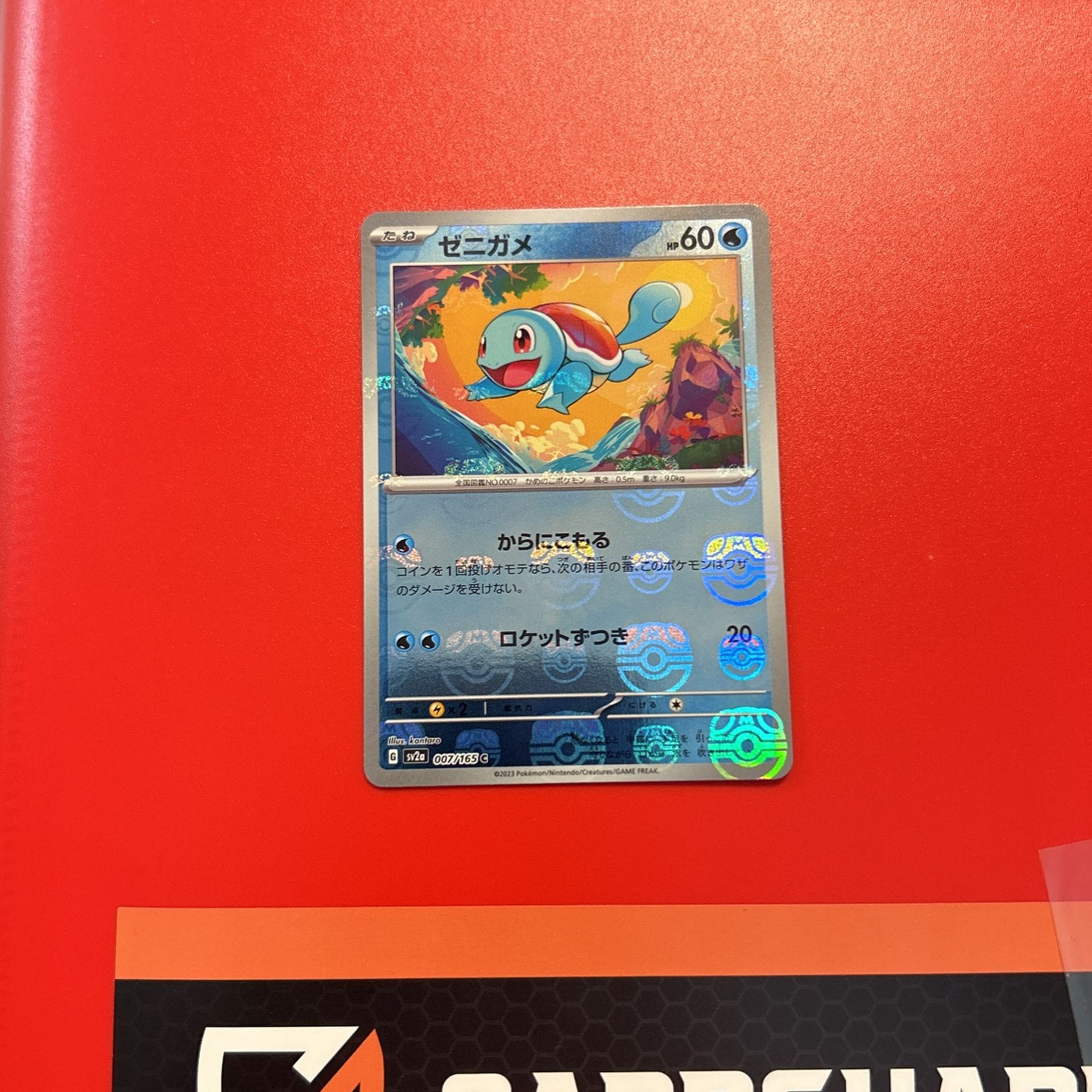 Pokemon Squirtle 151 Master Ball -minty