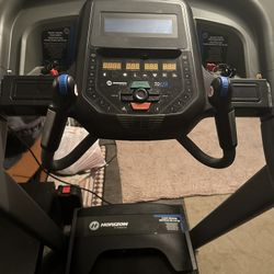 7.0  AT Horizon Treadmill 