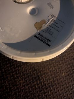 BEHR paint 5 gallon