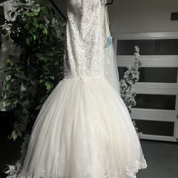 White Brand New Dress