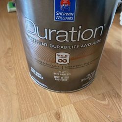 Duration Paint Galon Flat