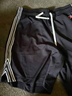 Men shorts Champions