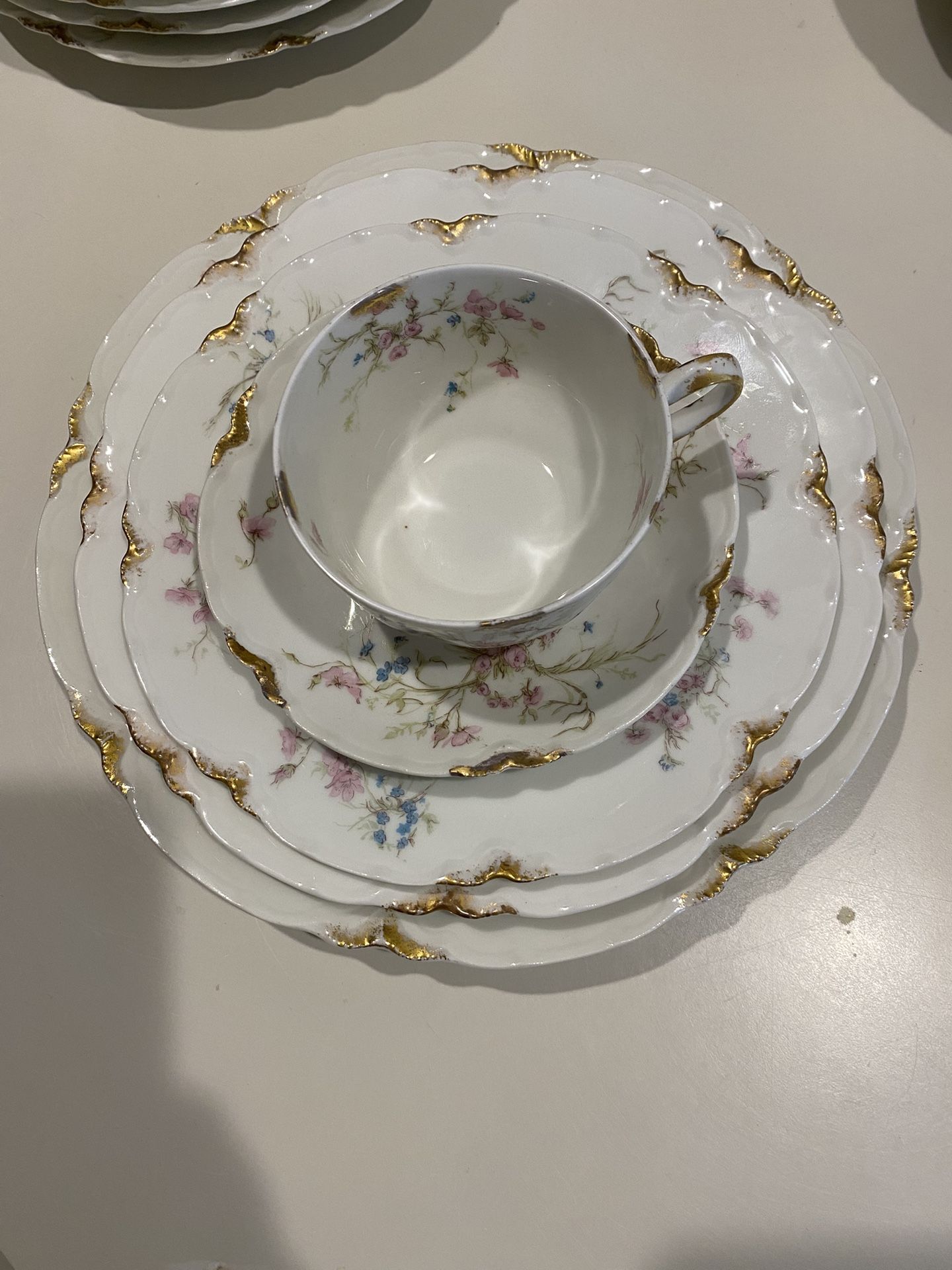 Haviland French Limoges