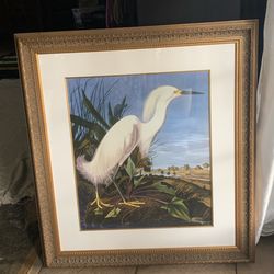 Vintage Old Framed Art Print Of The White Heron By John James Audubon