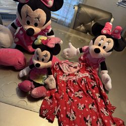 Minnie Mouse Bundle