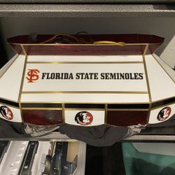 FSU Pool Table Light