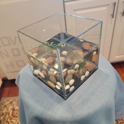  Hatchery Incubator Tank 1 G  (Fish, Tank, Aquarium)