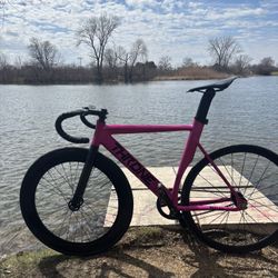 Throne 55cm Comes With Everything But NotThe Bars