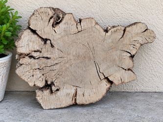 Large 3” Thick Olive Wood Slab – Live Edge – 28” x 23”