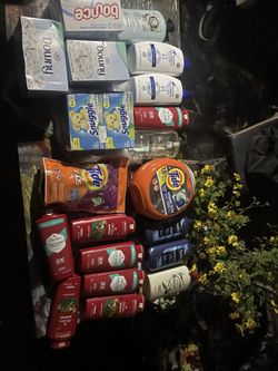 Bulk House Nessesitys