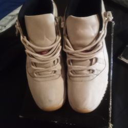 Jordan 11 Platinum 