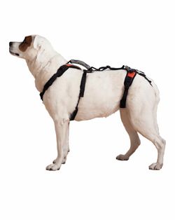 Full Body Dog Support Harness