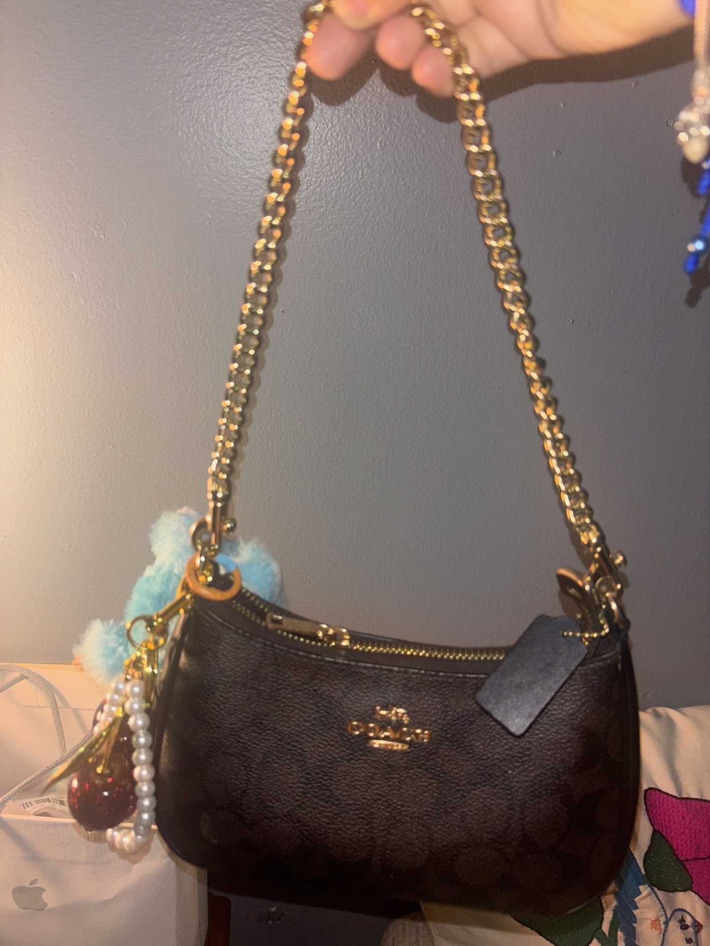 Coach Teri mini crossbody signature canvas