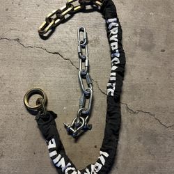 Kryptonite Security Chain 