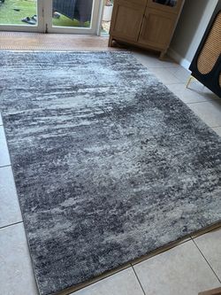 SAFAVIEH Decorative area rug “6.7 x 9” $40