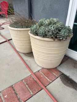 Set of 7 Large Planters – Luxury Landscape Vessels