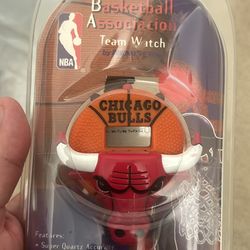 Chicago Bulls team watch
