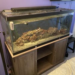75 Gallon Fish Tank