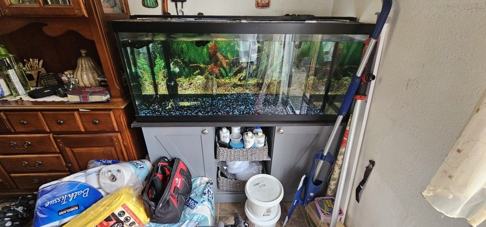 75 Gallon Aquarium With Filters And Light