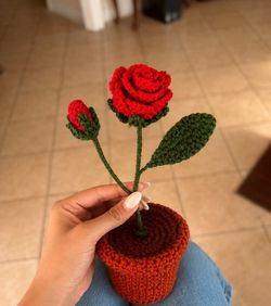 Handmade Crochet Rose Pot
