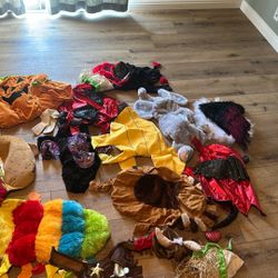 Pet costumes a variety of different ones $25 for all