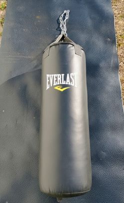 Everlast Heavy Bag - Excellent Condition (with Chains)