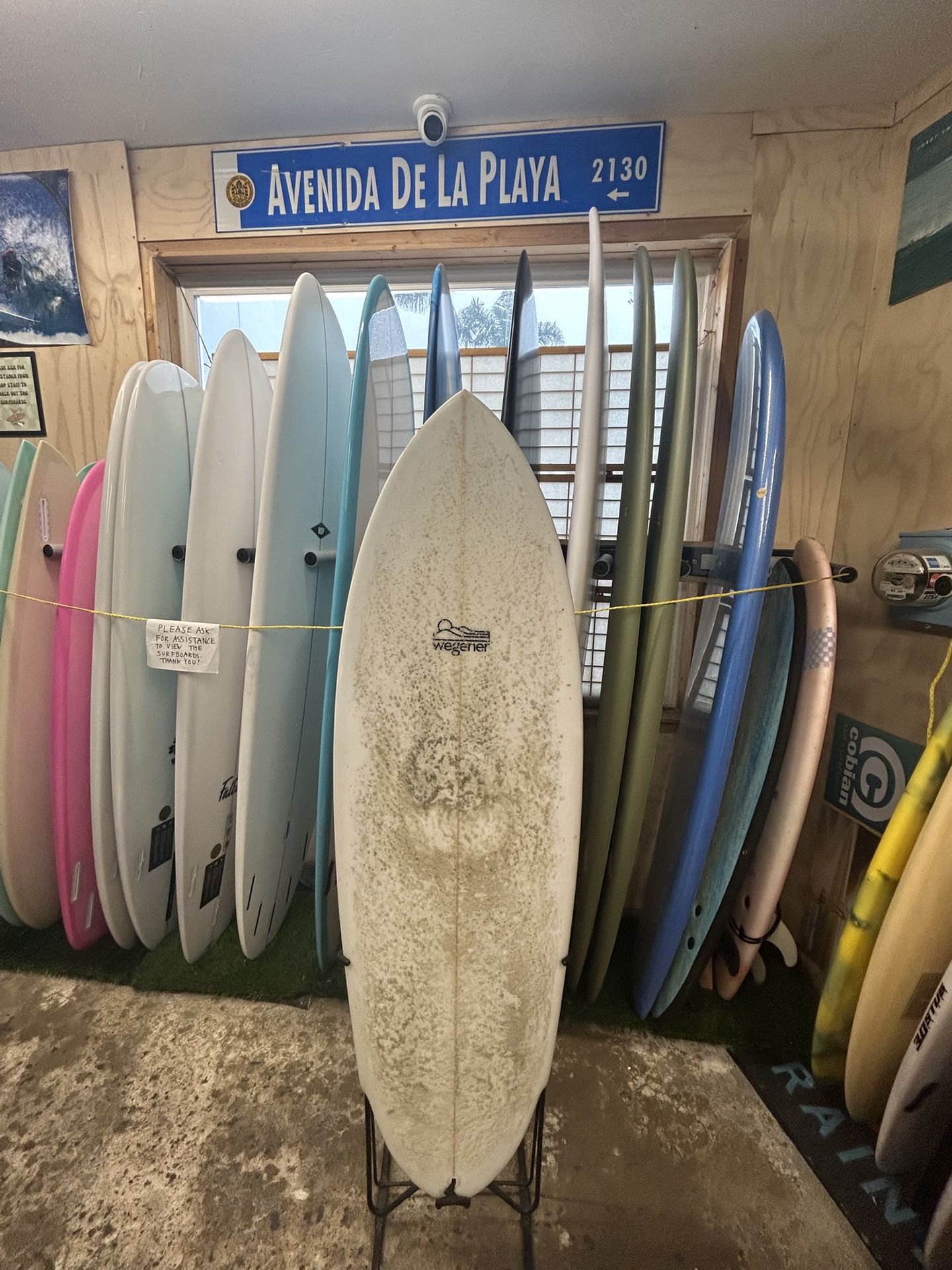 Wegener Surfboard