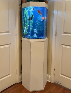 Aquarium Fish Tank with Stand and Accessories