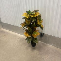 Croton artificial plant …39“ high  $35