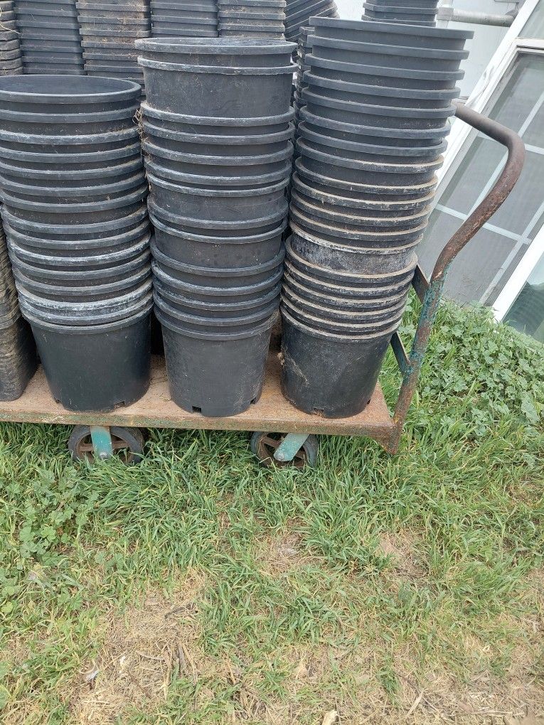 5 Gallon Nursery Plant Pot's