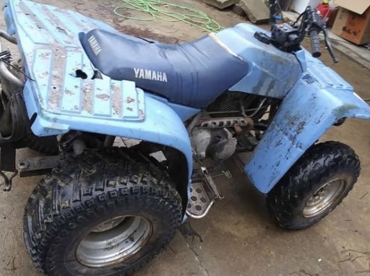 1996 Yamaha Timberwolf