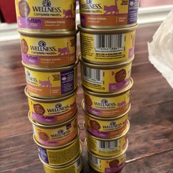 Kitten Wet Food Wellness