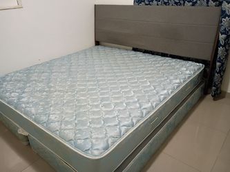 Bed Frame with Headboard and Mattress
