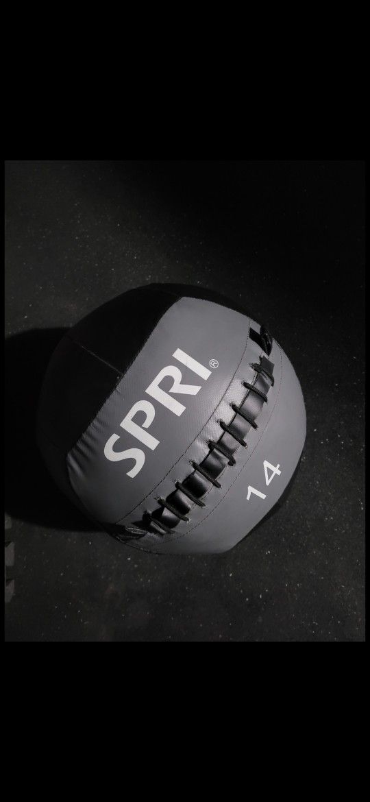 14lbs   Weights Ball