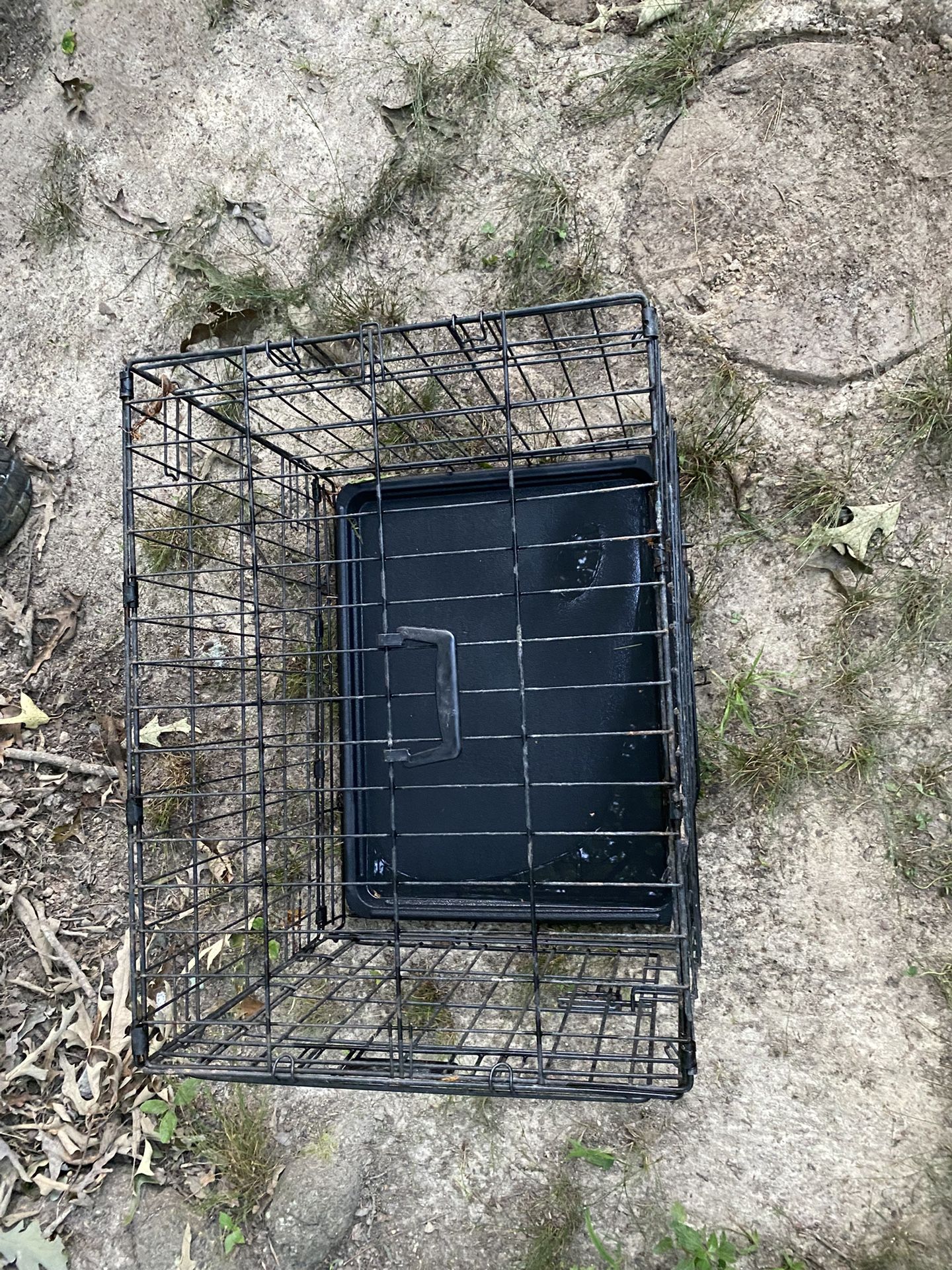 Dog House