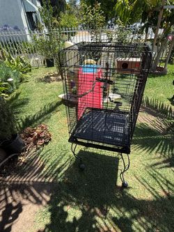Birds cage large size