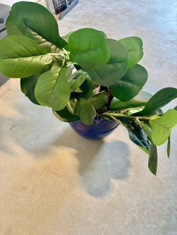 Faux Plant & Blue Pot